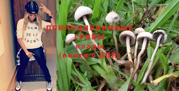мяу мяу мука Абинск