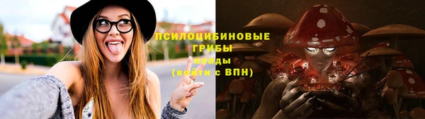 мяу мяу мука Абинск