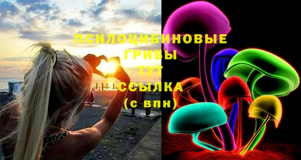 мяу мяу мука Абинск