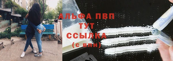 spice Аркадак