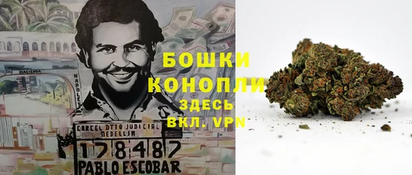 spice Аркадак
