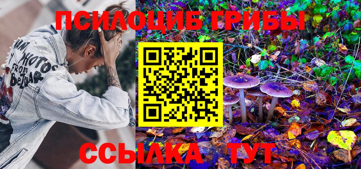 Псилоцибиновые грибы Северодвинск