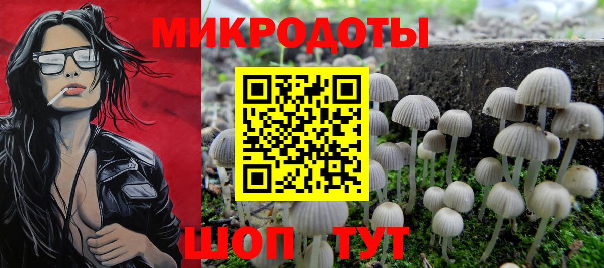 Галлюциногенные грибы Psilocybe Северодвинск